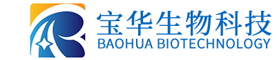 雷速官方网站-雷速leisu(中国)
